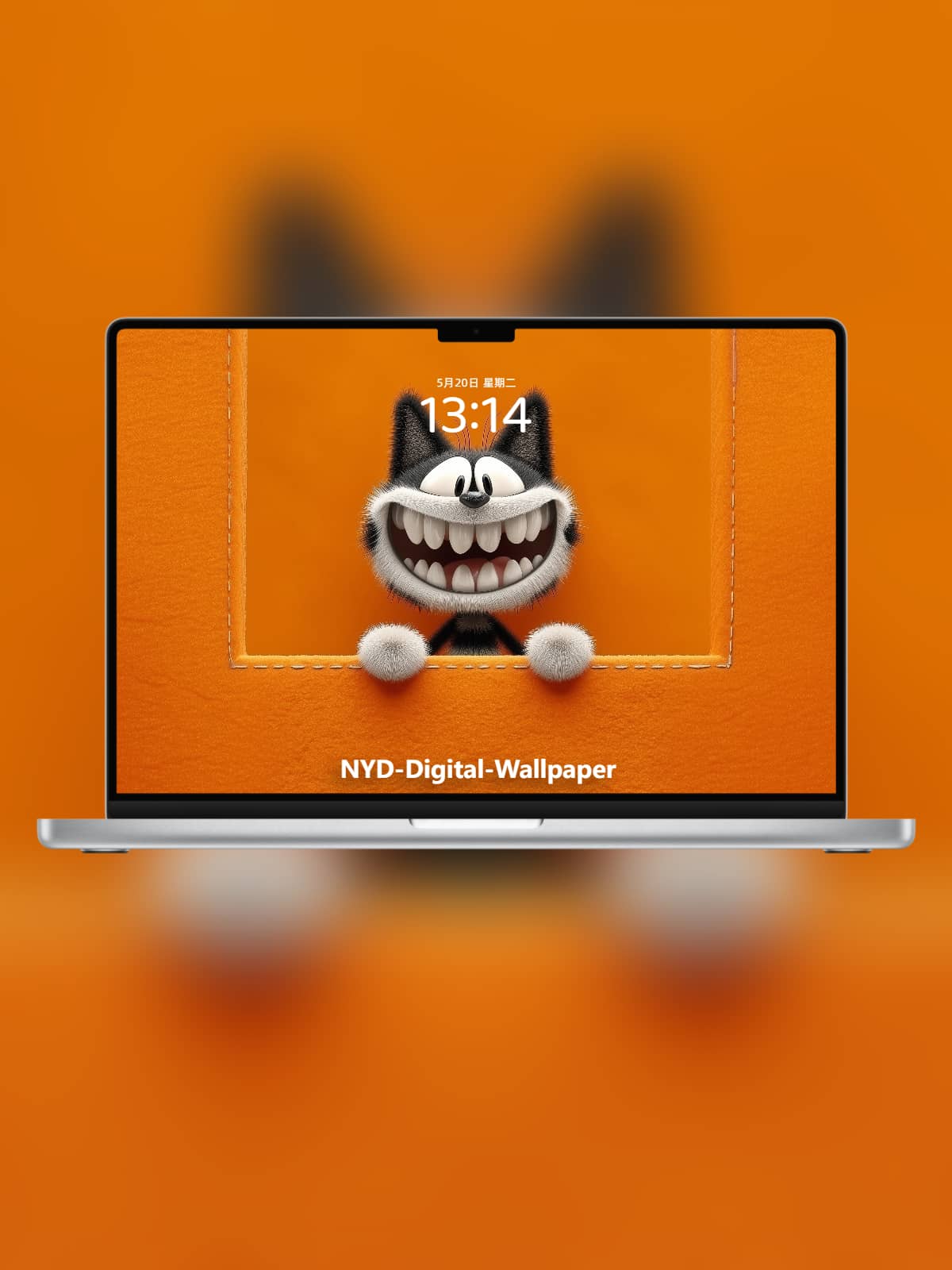 Andy Cat Kawaii Live Wallpaper 4K