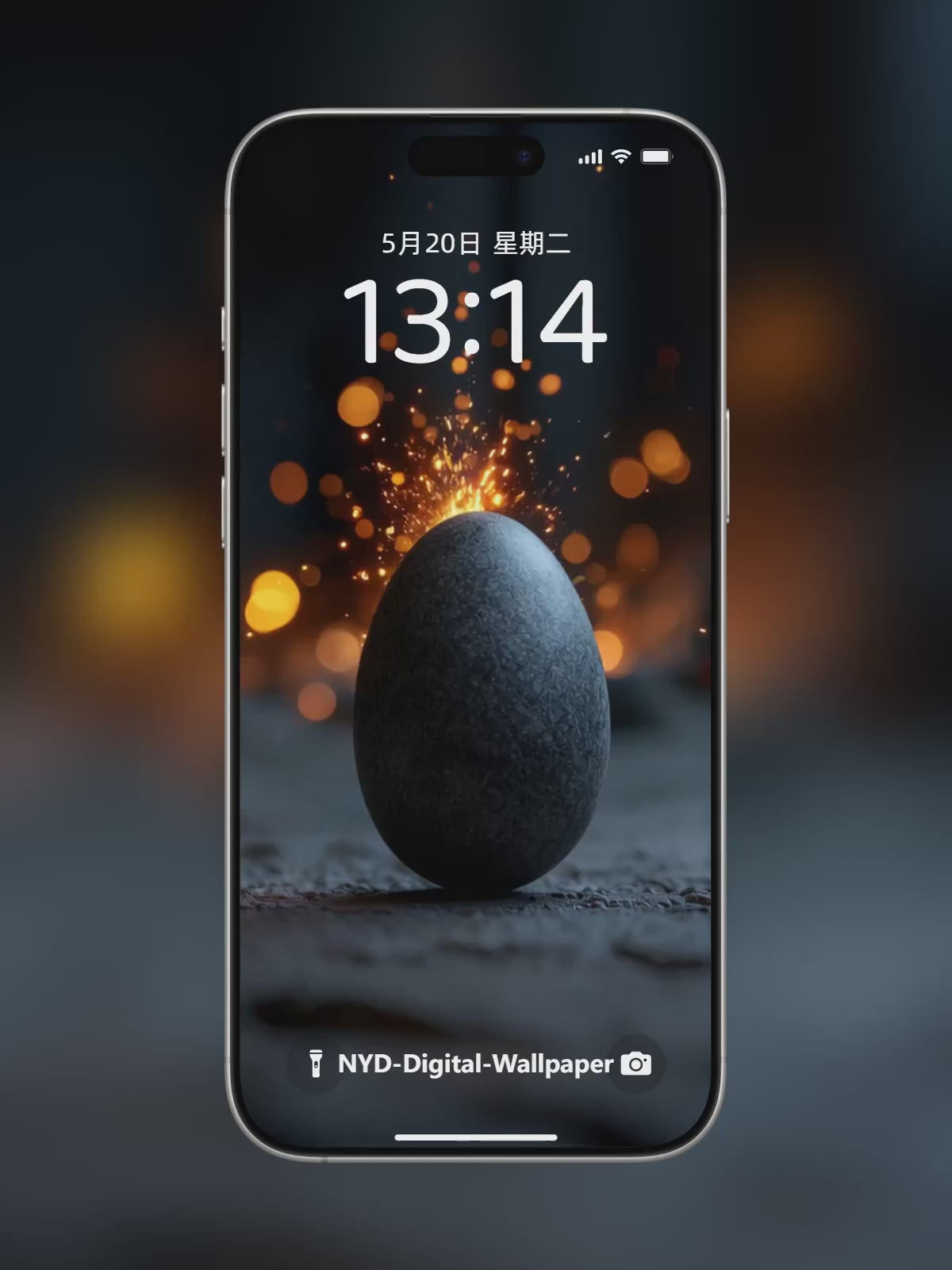 Thanksgiving Turkey Hatching Live Wallpaper  4K